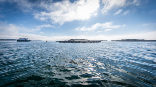 Bioriginal and POS Biosciences Launch Sustainable Omega-3 Line