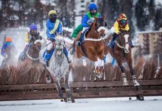 Winter horse race "White Turf" St. Moritz Switzerland