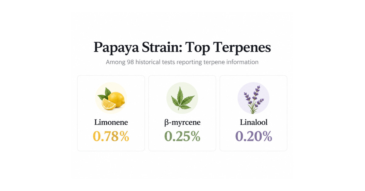 Papaya Strain Guide Clarifies Genealogy and Conflicting Pedigrees