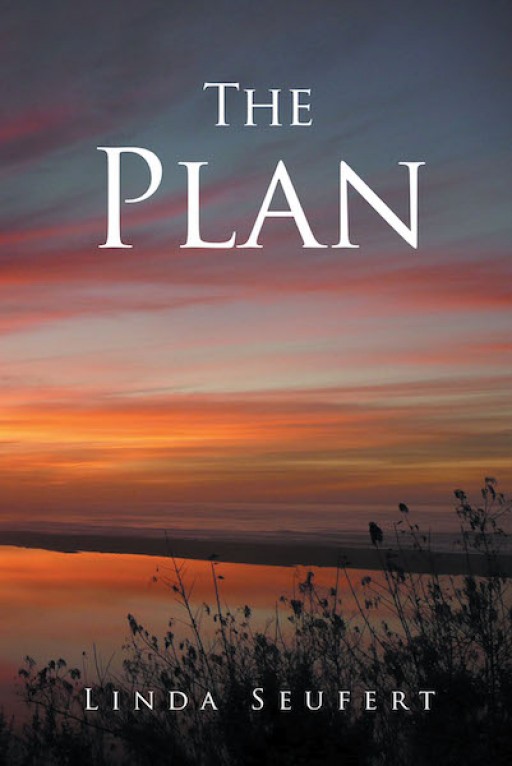 Linda Seufert's New Book 'The Plan' is a Captivating Novel That Revolves Around Love, Family and Forgotten Memories