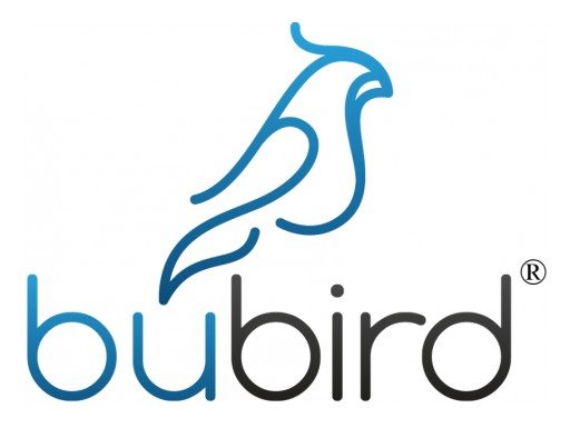 Bubird Straws Has Passed ISO 9001 Quality Management Standard