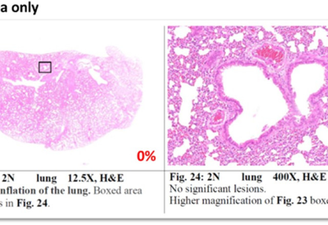 Ainos, Inc., Friday, September 30, 2022, Press release picture