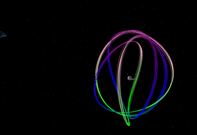 4 Petal Tulip-Shaped Orbit