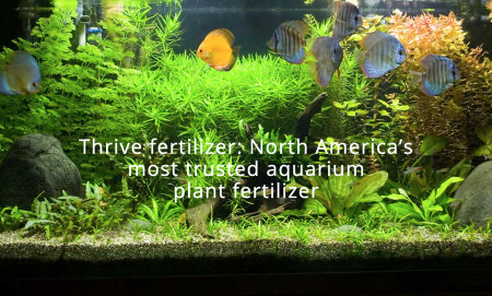 Thrive fertilizer: North America's most trusted aquarium plant fertilizer