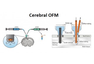Cerebral Sampling with OFM
