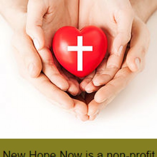 Pizza Fundraiser February 27th for "New Hope Now: Have a Heart" at Papa Murphy's Pizza in Dixon