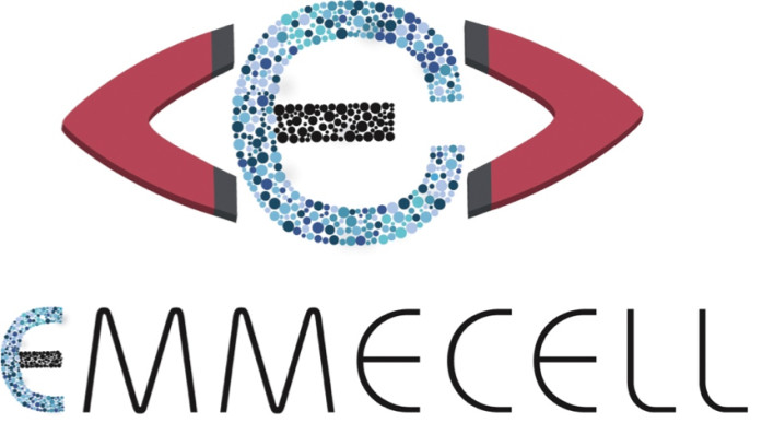 Emmecell Logo