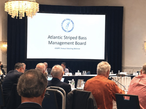 Analysis: ASMFC Shows Double Standard on Jobs and Economic Impacts in Striped Bass and Menhaden Management