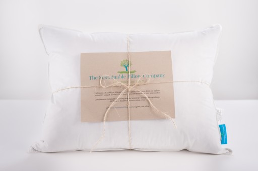 Announcing Luxurious Bed Pillows That Are Eco-Friendly Now Available