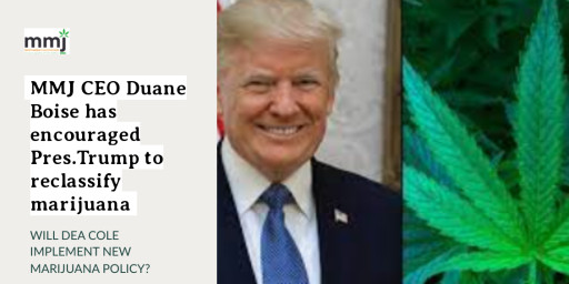 Trump May Reclassify Marijuana - MMJ BioPharma To Escape The DEA's Seven Year Cannabis Trial Roadblock?