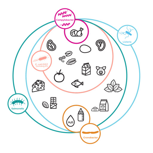 Biolog Lab Services Enters Food Safety Arena to Combat Pathogen Risks