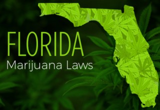 Florida Medical Marijuana Laws