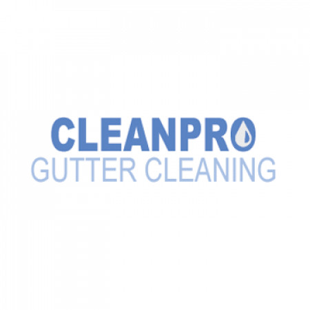 Clean Pro Gutter Cleaning Logo