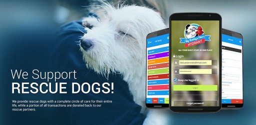 The Hydrant App From My Buddy's Place, the First Complete Care Application for Rescue Dogs