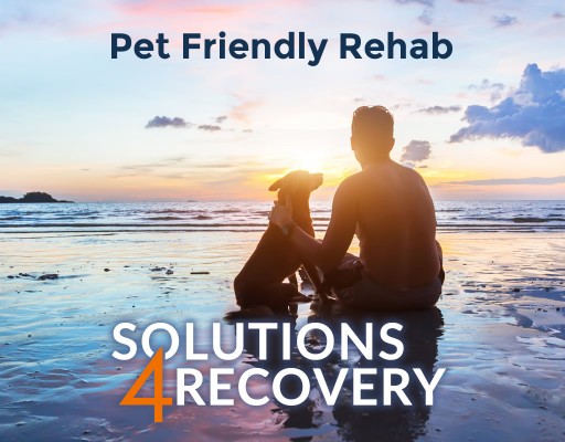 Addiction and Dual Diagnosis Treatment Program Now Offering Pet Friendly Rehab Options