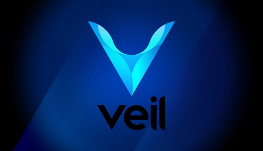 Veil Mainnet launch delayed to Jan 1, 2019 to address security vulnerability found in commonly used open source code