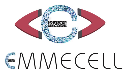 Emmecell Completes Final Cell Therapy Dosing in U.S. Clinical Trial for Corneal Edema