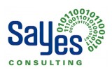 SaYes Consulting Inc. image