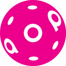The Art of Pickleball