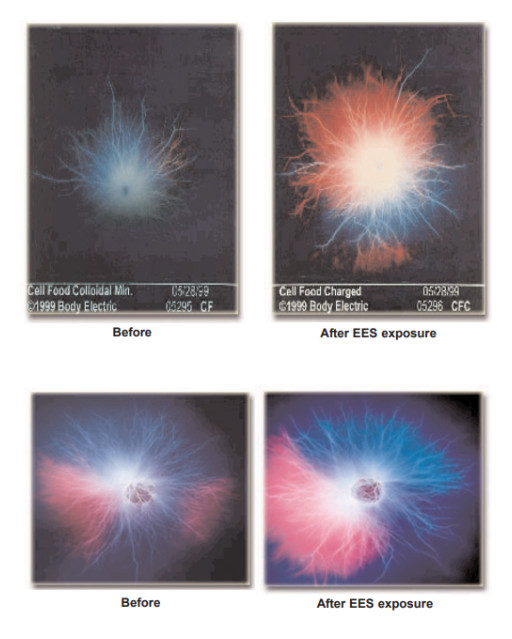 Kirlian Lab Imaging Shares Preliminary Before-And-After Visuals Around EES Exposure, Sparking Calls For Controlled Replication