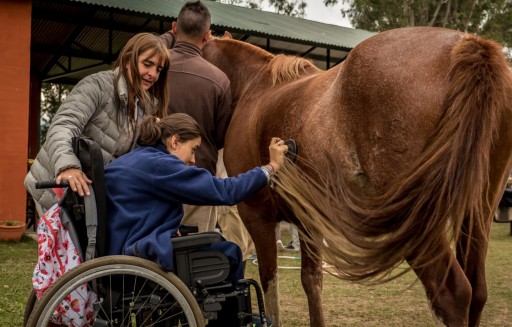 Suzette Belgarde Discusses the Healing Power of Horses