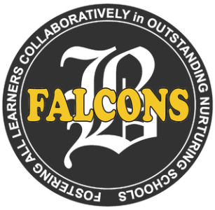 Brownsville Area School District
