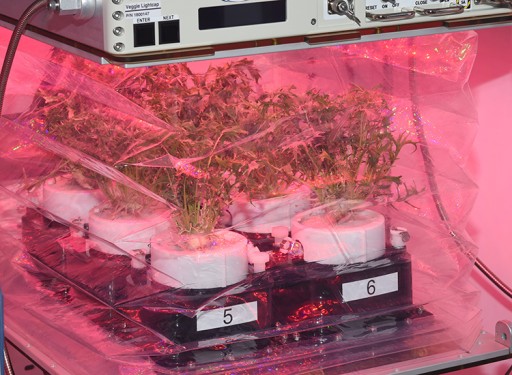 Plant Growth Chamber Developed for NASA by Tupperware and Techshot Launching on SpaceX CRS-14