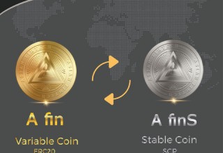 Afin Coin Co-Blockchain Demo
