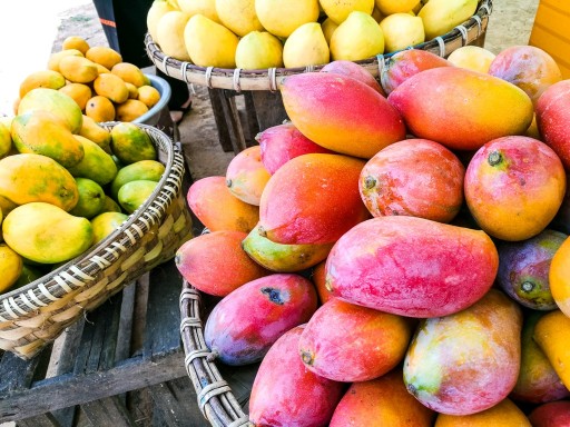 Mango Season Started in Myanmar