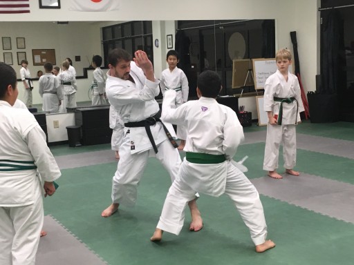 Nashville Wado Karate School Sticking With Greatmats Martial Arts Mats