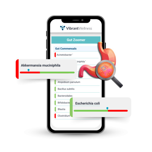 Vibrant Wellness Launches Redesigned Gut Microbiome Test With Broader Microbial and Metabolic Insights