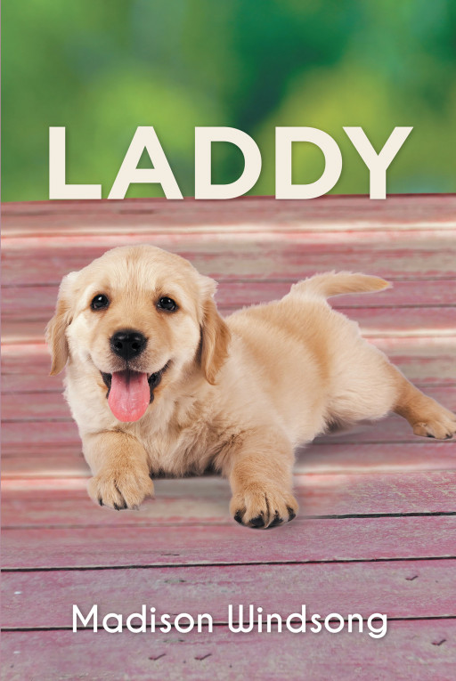 Madison Windsong's New Book, 'Laddy', Displays the Wholesome Beauty and Joys of Childhood and Youthfulness