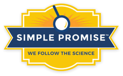 Simple Promise
