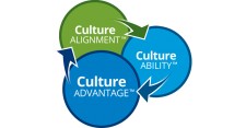 Three A's in the Culture Lifecycle