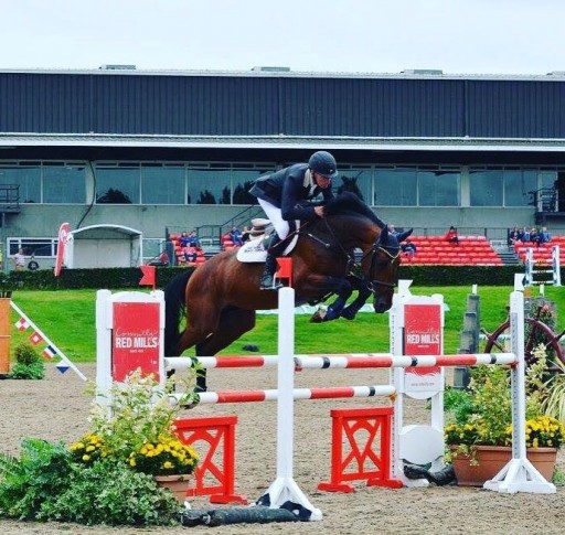 All-in-One Leg Support Supplement Premiers at the Royal Dublin Horse Show