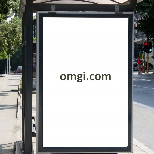 OMGI Dot COM Premium Domain is Up for Sale for the First Time Since 1996