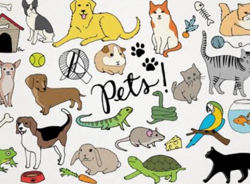 Honor Your Pets: Making Pet Memorials Uniquely Special Today