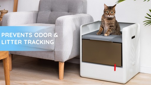 Poop Cube Arrives! A Modern Cat Litter Box That Minimizes Mess in a Modern Way