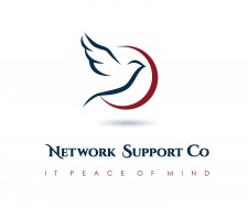 Network Support Co. logo