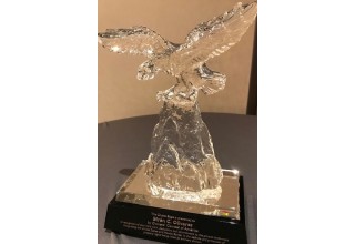 Crystal Eagle Award  