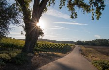 California Backroads