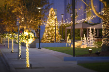 Magical holiday lights on L. Ron Hubbard Way in Los Angeles