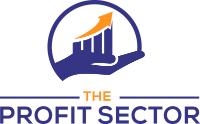 The Profit Sector