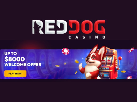 Red Dog Casino Review 2025