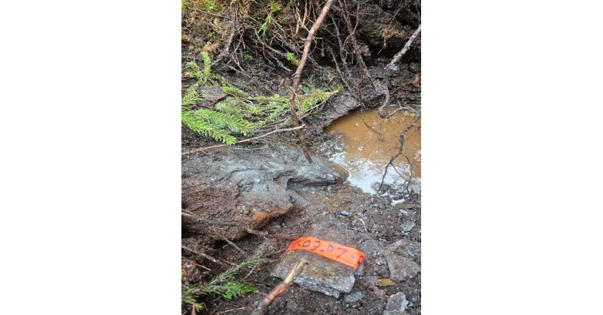First Canadian Graphite Announces Significant New Discovery at Lac Guéret South