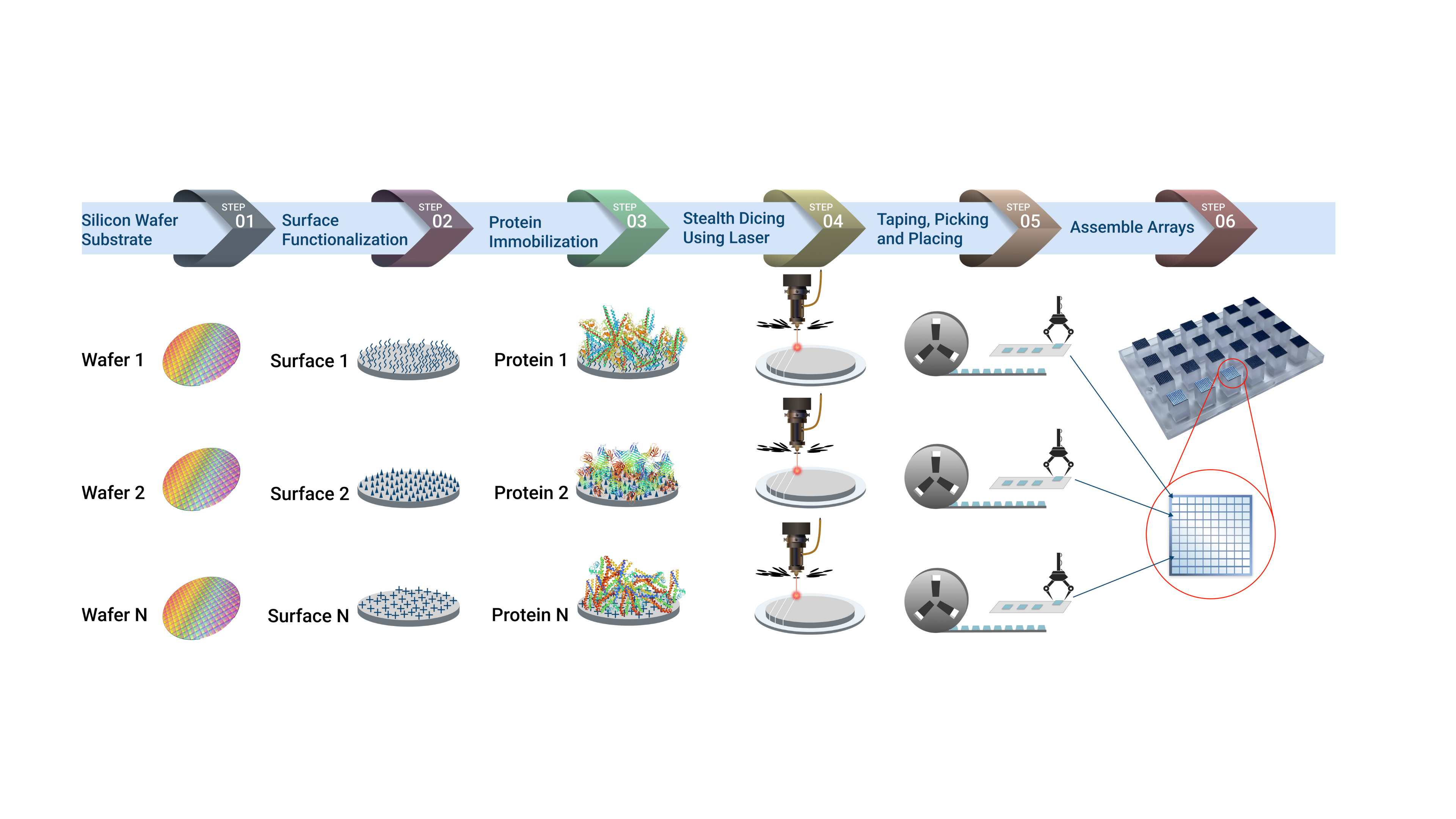 Vibrant's Protein Microarray Technology