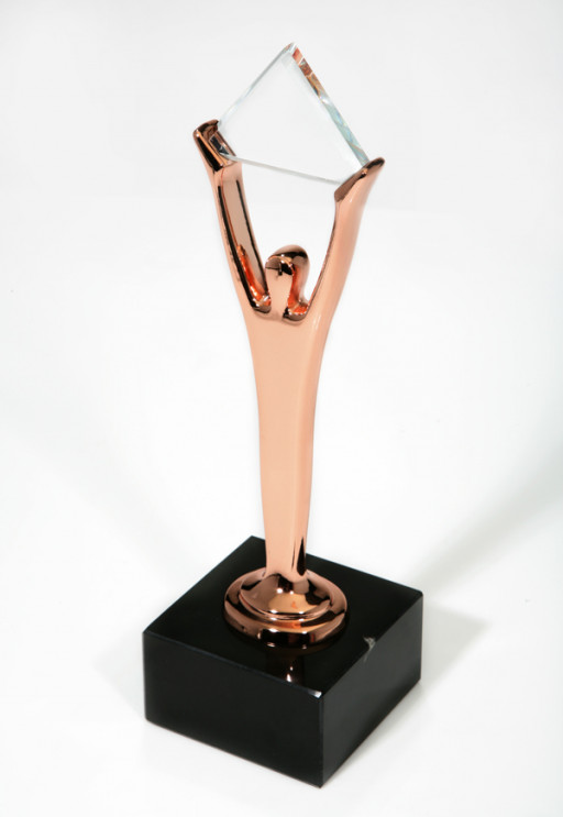 HCSS Wins People's Choice & Two Bronze Stevie® Awards in 2022 Stevie Awards for Customer Service