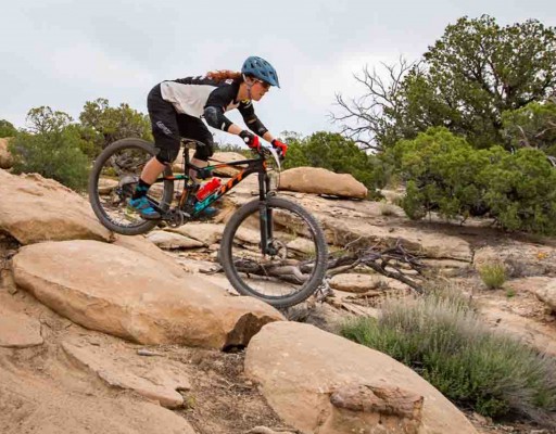 The Brewer's Cabinet Races Into April and May With Professional Mountain Bikers-Themed Brews