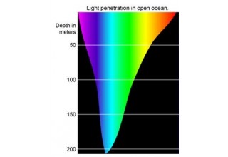 Why 475nm Blue Light is the Peak Circadian Signal