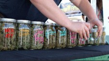 Illinois Cannabis Jobs